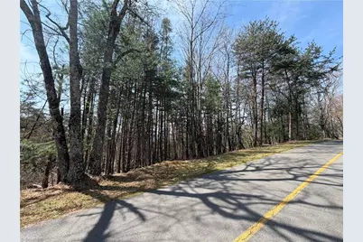 Lot 105 Greenstreet Drive, Traphill, NC 28685 - Photo 5