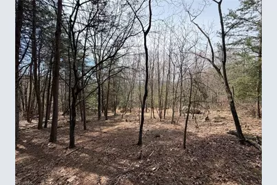 Lot 105 Greenstreet Drive, Traphill, NC 28685 - Photo 15