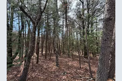 Lot 105 Greenstreet Drive, Traphill, NC 28685 - Photo 13