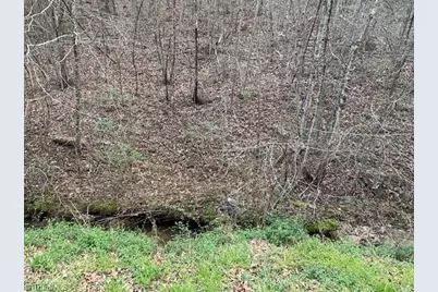 Tbd N Marley Ford Road, Ferguson, NC 28624 - Photo 3