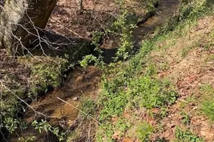 Tbd N Marley Ford Rd, Ferguson, NC 28624 - Photo 1