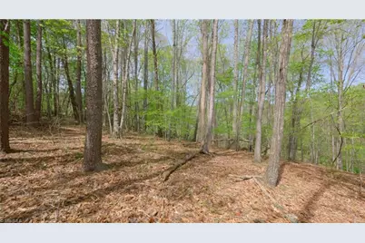 3 Thomas Farm Road, King, NC 27021 - Photo 9