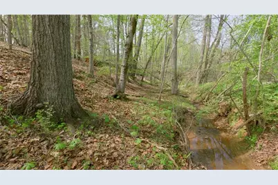 3 Thomas Farm Road, King, NC 27021 - Photo 11