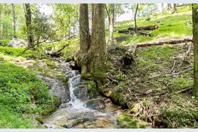 14691 N Nc Highway 16, Millers Creek, NC 28651 - Photo 5