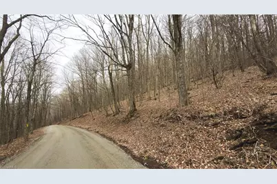 Tbd Tater Hill Road, Boone, NC 28698 - Photo 17