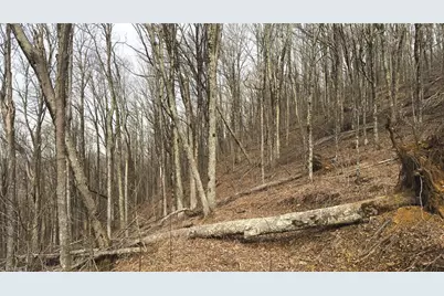 Tbd Tater Hill Road, Boone, NC 28698 - Photo 27