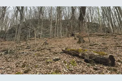 Tbd Tater Hill Road, Boone, NC 28698 - Photo 19