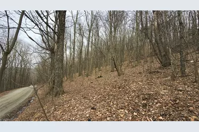 Tbd Tater Hill Road, Boone, NC 28698 - Photo 13