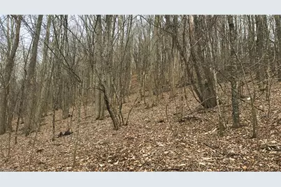 Tbd Tater Hill Road, Boone, NC 28698 - Photo 15