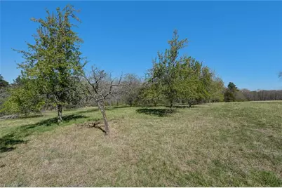 00 Blanch Road, Blanch, NC 27212 - Photo 9