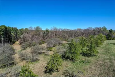 00 Blanch Road, Blanch, NC 27212 - Photo 19