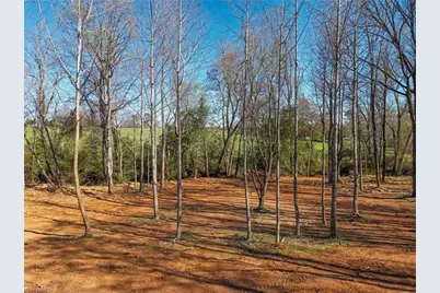 Lot3 Sprouse Road, Boonville, NC 27011 - Photo 7