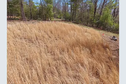 Lot 109 & 110 Pepper Bush Road, Purlear, NC 28665 - Photo 9