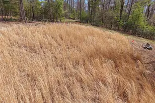 Lot 109 & 110 Pepper Bush Rd, Purlear, NC 28665 - Photo 1