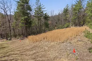 Lot 109 & 110 Pepper Bush Rd, Purlear, NC 28665 - Photo 1