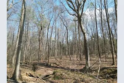 0000 Tilden Nursery Road, Lexington, NC 27295 - Photo 19