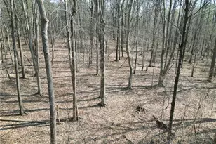 0000 Tilden Nursery Rd, Lexington, NC 27295 - Photo 1