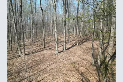 0000 Tilden Nursery Road, Lexington, NC 27295 - Photo 35