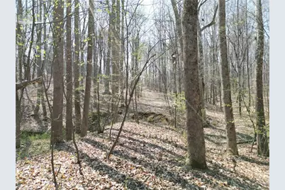 0000 Tilden Nursery Road, Lexington, NC 27295 - Photo 7