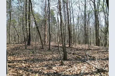 0000 Tilden Nursery Road, Lexington, NC 27295 - Photo 31