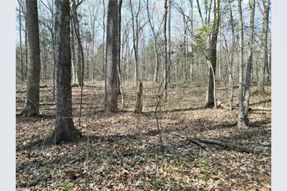 0000 Tilden Nursery Road, Lexington, NC 27295 - Photo 15