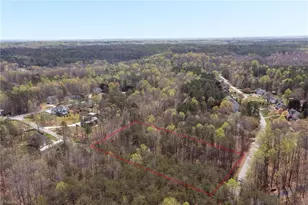 358 Harvest Mill Dr, Lewisville, NC 27023 - Photo 47