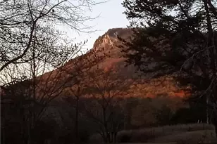 2047 Sizemore Rd, Germanton, NC 27019 - Photo 45