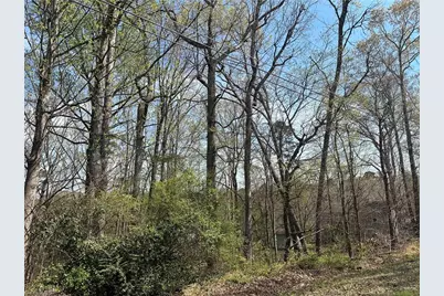 0 Idlewild Drive Extension, Randleman, NC 27317 - Photo 1