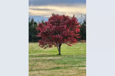3053 Hallmark Estates Drive, Boonville, NC 27011 - Photo 49