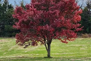 3053 Hallmark Estates Dr, Boonville, NC 27011 - Photo 49