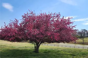 3053 Hallmark Estates Dr, Boonville, NC 27011 - Photo 33