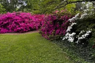 3201 Crittenden Ct, Winston-Salem, NC 27106 - Photo 45