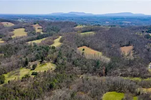 1305 Brim Rd, Mount Airy, NC 27030 - Photo 33