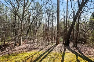 3144 Hickory Ridge Dr, Winston-Salem, NC 27127 - Photo 29