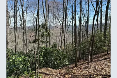 6475 & 6485 Buffalo Cove Road, Lenoir, NC 28645 - Photo 11