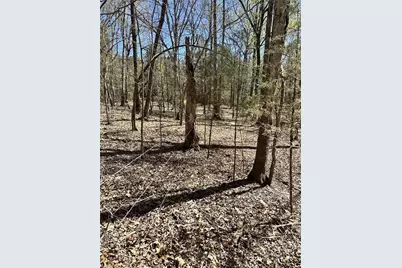 9274 US Highway 64 W, Trinity, NC 27370 - Photo 39