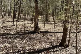 9274 U.S. Hwy 64 W, Trinity, NC 27370 - Photo 39