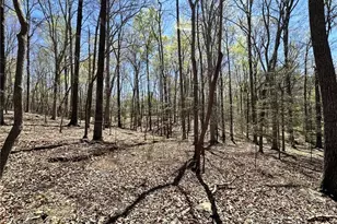 9274 U.S. Hwy 64 W, Trinity, NC 27370 - Photo 41