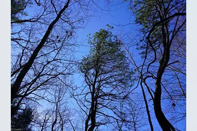 Tbd Flagstone Way, Lowgap, NC 27024 - Photo 15