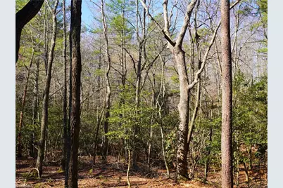 Tbd Flagstone Way, Lowgap, NC 27024 - Photo 33