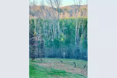 5280 Tabernacle School Road, Asheboro, NC 27205 - Photo 25