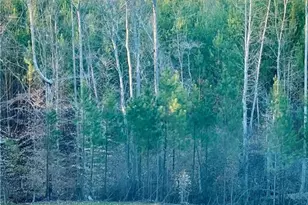 5280 Tabernacle School Rd, Asheboro, NC 27205 - Photo 25