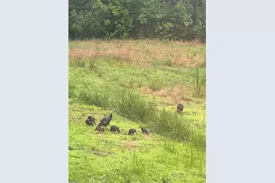 5280 Tabernacle School Road, Asheboro, NC 27205 - Photo 21