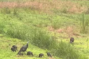 5280 Tabernacle School Rd, Asheboro, NC 27205 - Photo 21