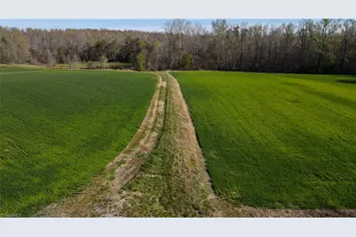 1337 Candy Creek Road, Reidsville, NC 27320 - Photo 13