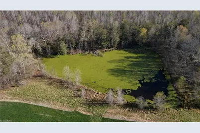 1337 Candy Creek Road, Reidsville, NC 27320 - Photo 21