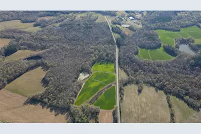 1337 Candy Creek Road, Reidsville, NC 27320 - Photo 5