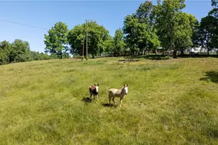 1850 Statesville Rd, North Wilkesboro, NC 28697 - Photo 37
