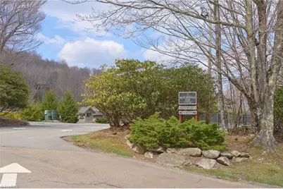 101 Foxgrape Hollow Road, Beech Mountain, NC 28604 - Photo 23