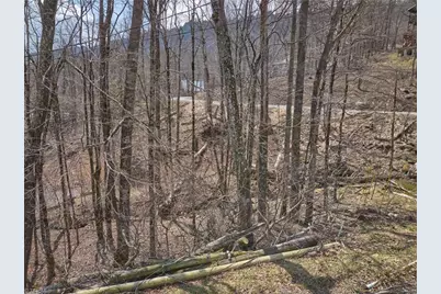 101 Foxgrape Hollow Road, Beech Mountain, NC 28604 - Photo 17